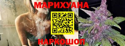 крисы Свободный