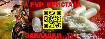 крисы Свободный