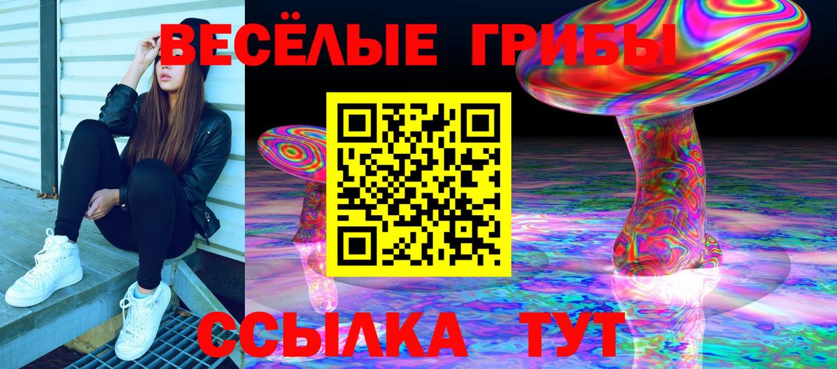 Брянск  Псилоцибиновые грибы Psilocybe  Вход с VPN 